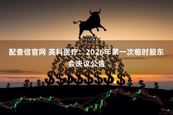 配查信官网 英科医疗：2026年第一次临时股东会决议公告