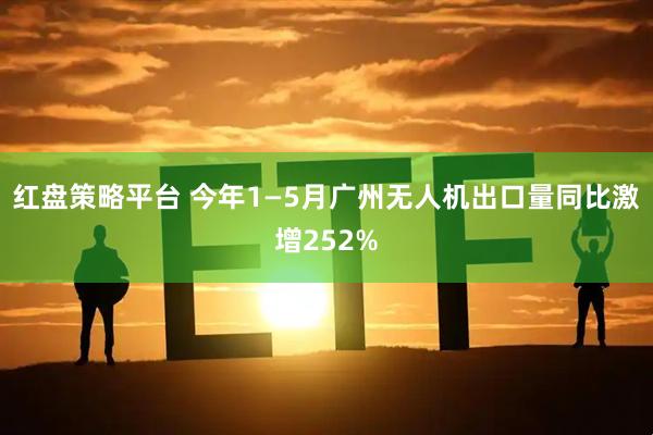 红盘策略平台 今年1—5月广州无人机出口量同比激增252%