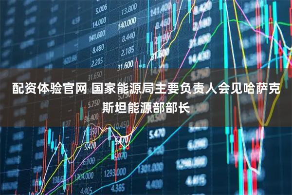 配资体验官网 国家能源局主要负责人会见哈萨克斯坦能源部部长